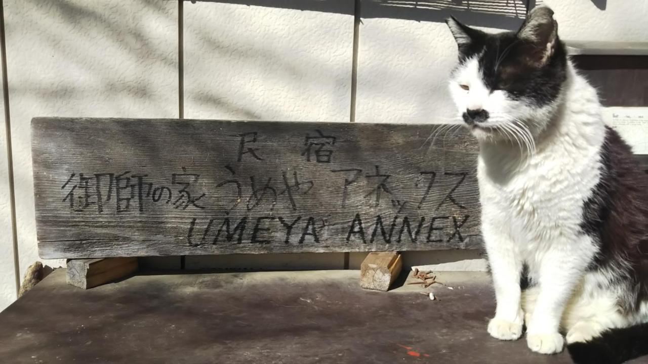 Penzion Umeya Annex Fudžikawagučiko Exteriér fotografie